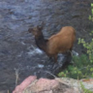 Meet your Posher, Becky